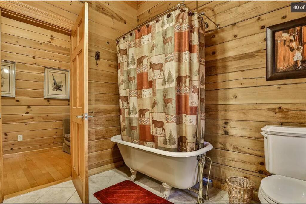 Blue Ridge Bliss- Spacious Cabin, Pets, Hot Tub! Экстерьер фото