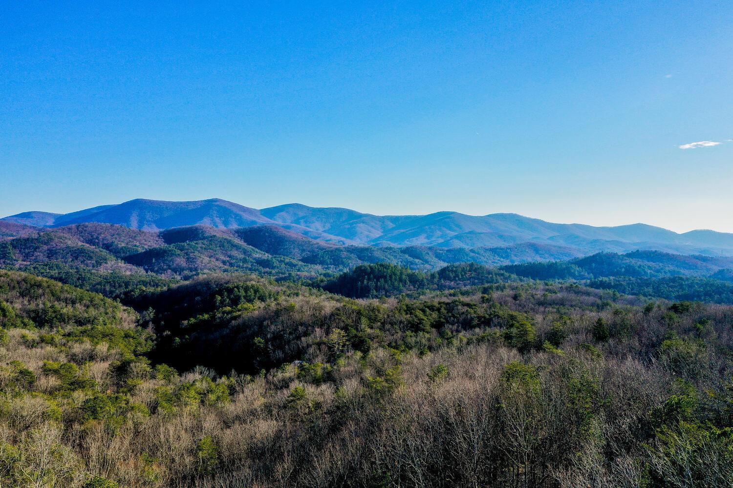 Blue Ridge Bliss- Spacious Cabin, Pets, Hot Tub! Экстерьер фото